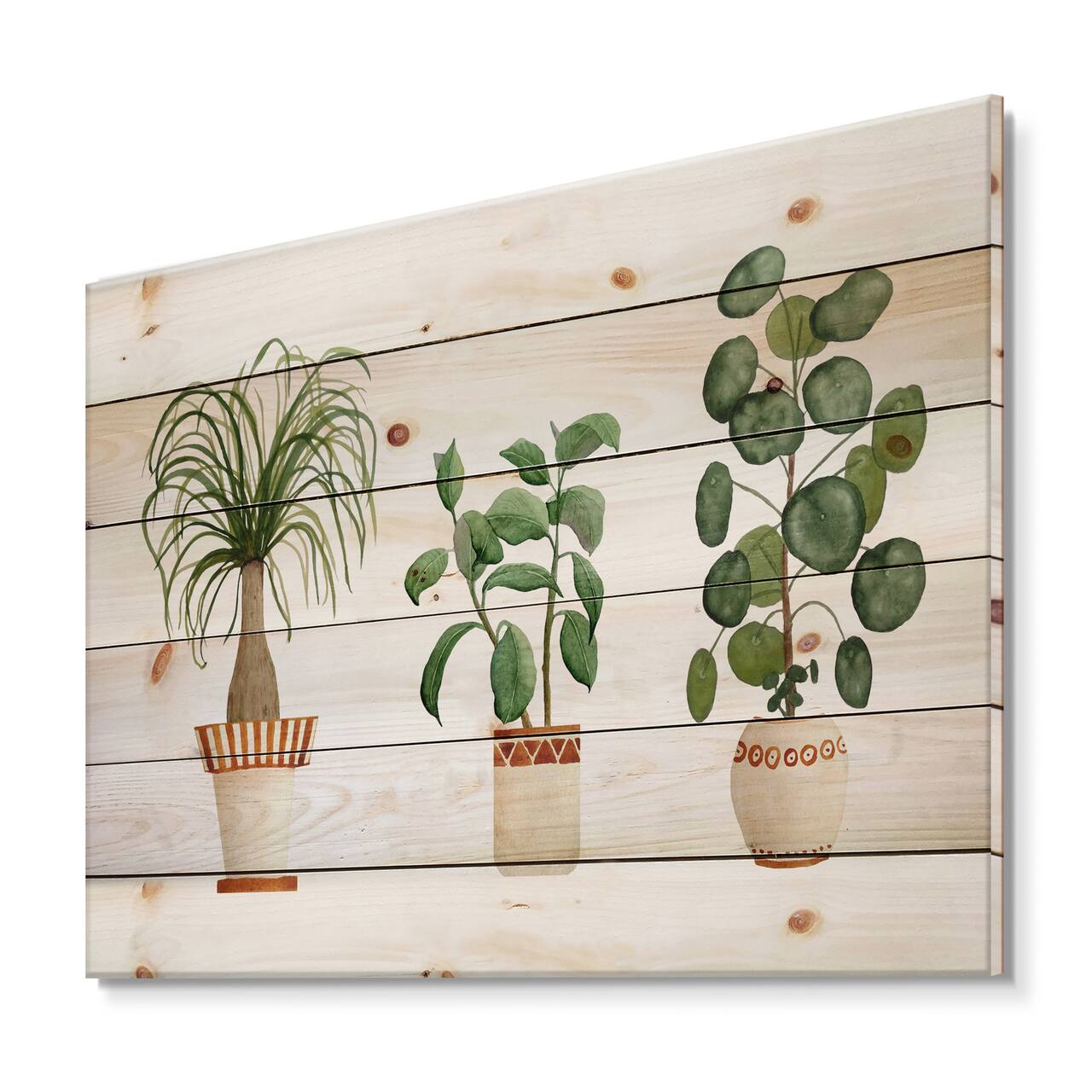 Designart - Trio of House Plants Ponytail Palm and Ficus - Traditional Print on Natural Pine Wood